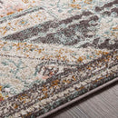 Heemskerk Traditional Charcoal Area Rug