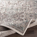 Heiloo Traditional Charcoal Area Rug