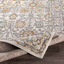 Hilversum Traditional Burnt Orange Area Rug