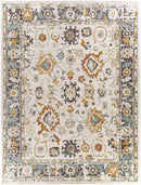 Hoogwoud Traditional Ivory Area Rug