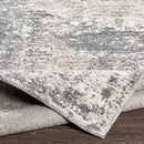 Oosterzij Modern Medium Gray Area Rug