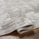 Schagen Modern Light Gray Area Rug