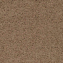 Tuindorp Modern Light Brown Area Rug