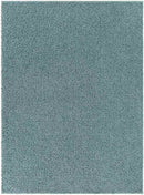 Tuindorp Modern Teal Area Rug