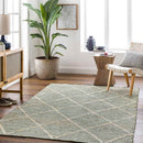 Bedaf Global Sage Area Rug
