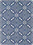 Beemdkant Traditional Ice Blue Area Rug