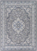 Belvert Traditional Medium Gray Area Rug