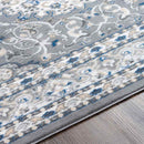 Belvert Traditional Medium Gray Area Rug