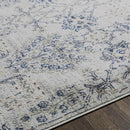 Berkeind Traditional Grey Area Rug