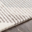 Boksheide Modern Medium Gray Area Rug