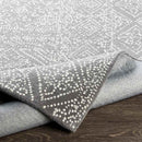 Boschkens Global Light Gray Area Rug