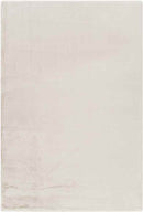 Casteren Modern Ivory Area Rug