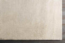 Casteren Modern Ivory Area Rug