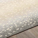 Esdonk Modern Medium Gray Area Rug