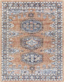 Grave Traditional Rust Area Rug