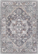 Grazen Traditional Light Gray Area Rug