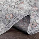 Grazen Traditional Light Gray Area Rug
