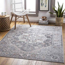 Grazen Traditional Light Gray Area Rug