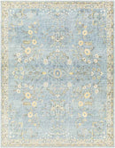 Heidveld Traditional Sky Blue Area Rug