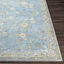 Heidveld Traditional Sky Blue Area Rug