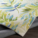 Heihoefke Coastal Lime Area Rug