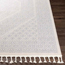 Heistraat Global Medium Gray Area Rug