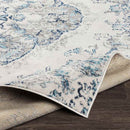 Brongerga Traditional Sky Blue Area Rug