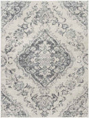 Brongerga Traditional Silver Gray Area Rug