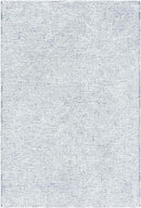 Ragaz Modern Gray Area Rug