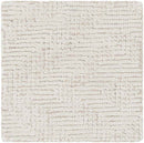 Ragaz Modern Taupe Area Rug