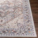 Lieseind Traditional Light Gray Area Rug