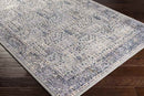 Lieshout Traditional Pale Blue Area Rug