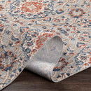 Lieveld Traditional Rust Area Rug