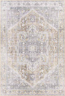 Maasdriel Traditional Light Gray Area Rug
