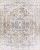Maasdriel Traditional Light Gray Area Rug