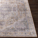 Maasdriel Traditional Light Gray Area Rug