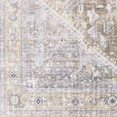 Maasdriel Traditional Light Gray Area Rug