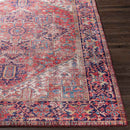 Medevoort Traditional Dark Red Area Rug