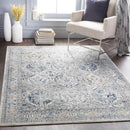 Moeren Traditional Light Gray Area Rug