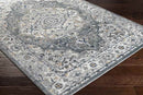 Molenwijk Traditional Light Gray Area Rug