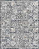 Mosbulten Traditional Light Gray Area Rug