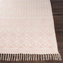 Anzio Global Pale Pink Area Rug
