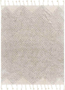 Noenes Global Light Gray Area Rug