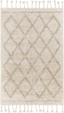 Noord Global Beige Area Rug