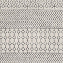 Aigle Global Charcoal Area Rug