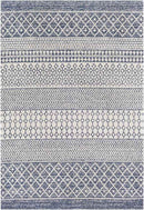 Aigle Global Denim Area Rug