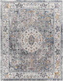 Letona Traditional Light Gray Area Rug