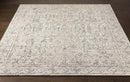 Tregelaar Traditional Beige Area Rug