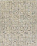 Trent Traditional Beige Area Rug