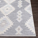 Venbergen Rustic Light Gray Area Rug